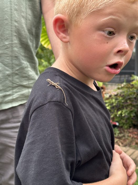 A tiny anole lizard hitches a ride on one of the kids' shoulder, wide-eyed surprise all around.