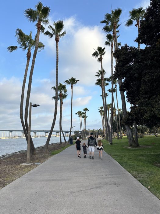 Walking the palm-lined waterfront path along Mission Bay with the pier in the distance.