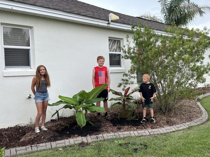 One more round by the banana bed, the two red-headed brothers flanking their sister.