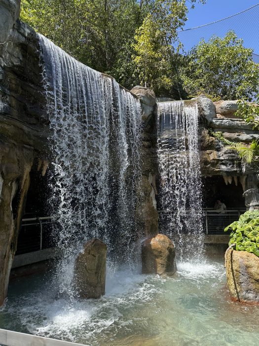 A lush tropical waterfall tumbling through the zoo's canyon gardens.