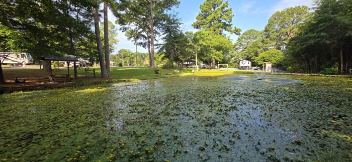 The campground's pond fountain catches the early morning light.