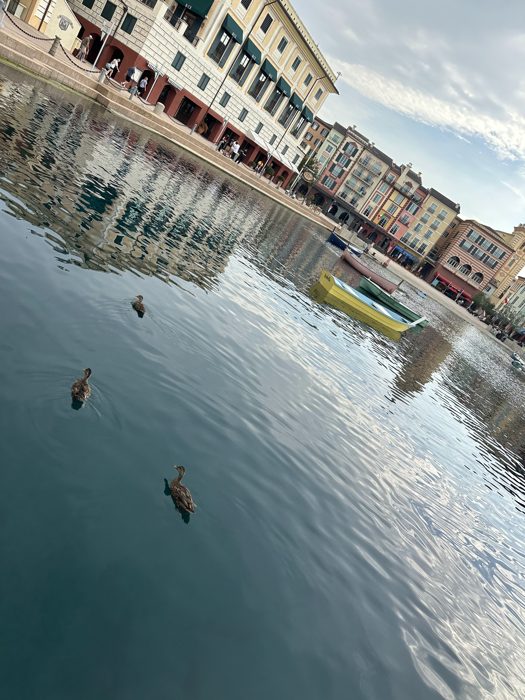 A trio of ducks paddles past the pastel waterfront buildings of the resort's Italian-style harbor.