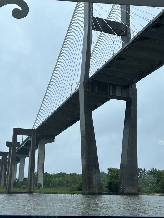The Talmadge Memorial Bridge soaring overhead from the water.