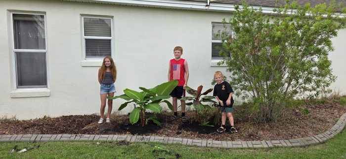 The trio stands for a photo beside the transplanted greenery in the side yard.