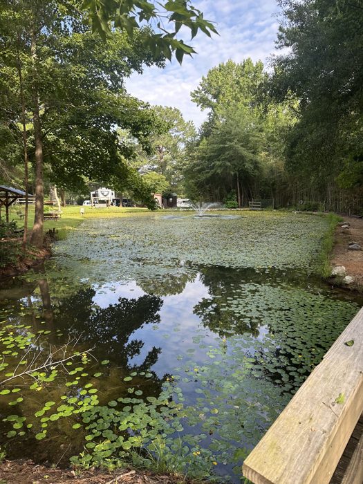 Clouds drift across the still pond's reflection on a calm morning at camp.