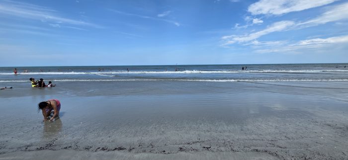 A quiet stretch of beach where swimmers wade and someone bends down to search for shells.