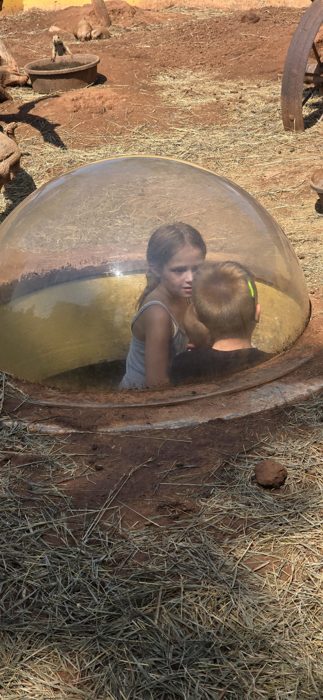 The kids pop up inside the prairie-dog viewing dome right in the middle of the colony.