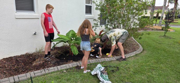 The boys get their hands dirty planting while a friend works the shovel behind them.