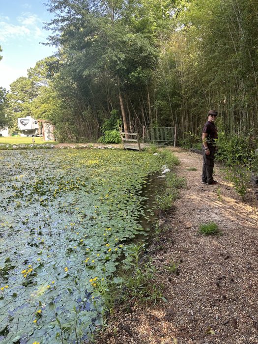 Taking a quiet moment at the water's edge next to the tall bamboo grove.