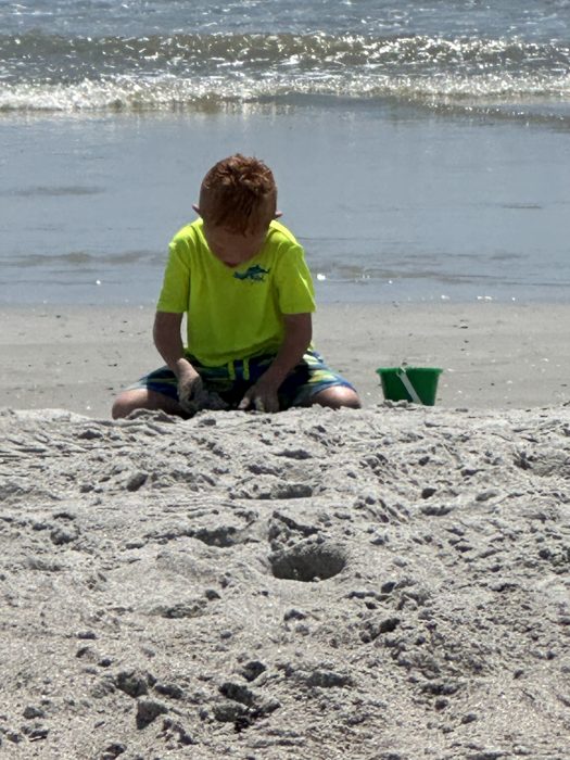 Digging happily in a sandy hole with the ocean rolling in behind.
