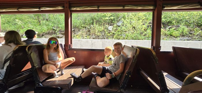 Settling into the open-sided coach as the vintage train rolls out through the pines.