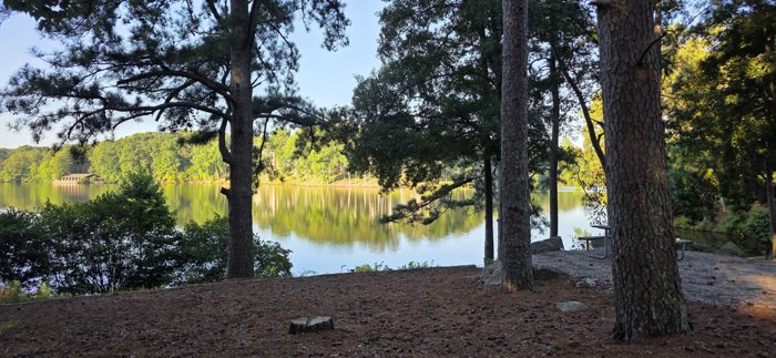 Pine trunks frame the lake just steps from our campsite, morning light rippling across the water.