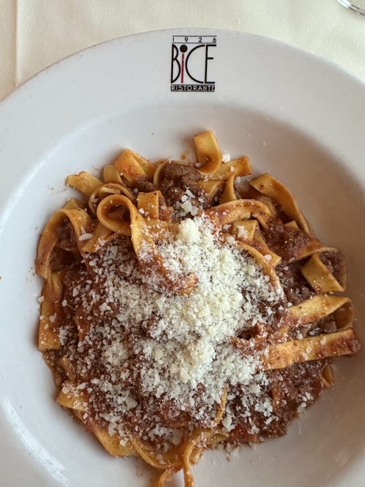 A steaming bowl of pappardelle bolognese at dinner, buried under a fresh snowdrift of parmesan.
