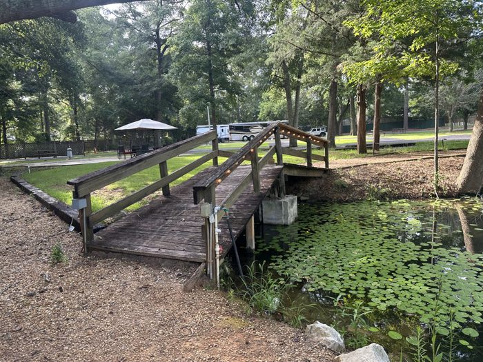 Crossing the string-light-strung wooden footbridge over the pond on a morning stroll.