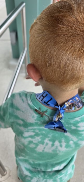 The little lizard scurries up onto a shoulder, tangled in a park lanyard, to everyone's delight.