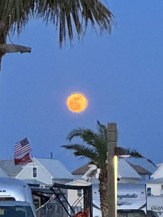 A golden full moon rising beside a palm tree over the RV park at dusk.