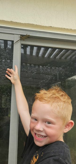One of the kids points out a lizard perched up on the screened porch.
