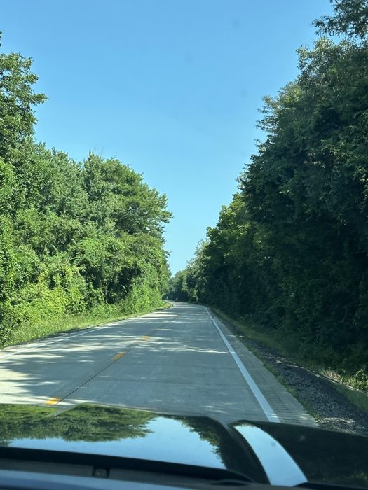 Rolling down a quiet tree-lined backroad under a clear blue sky.