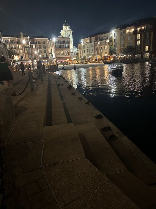 Ducks huddle along the harborside steps as the lights shimmer across the water at night.