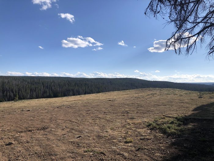 Wide-open meadow and timber at our Wyoming lake camp.