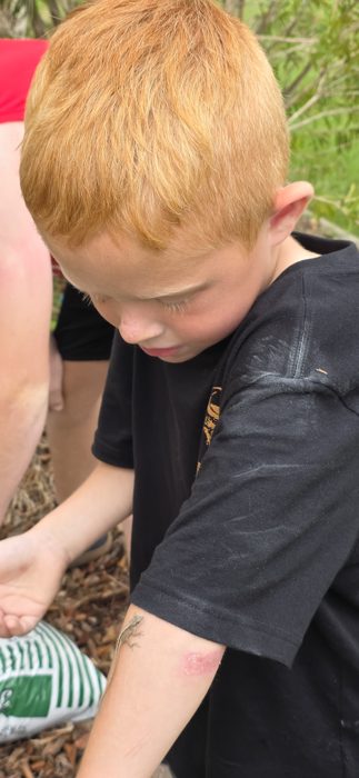 Watching the little anole creep along an arm before letting it go.