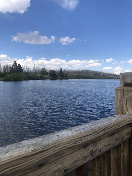 Looking out over the calm lake from the wooden dock at our Saratoga-area camp.