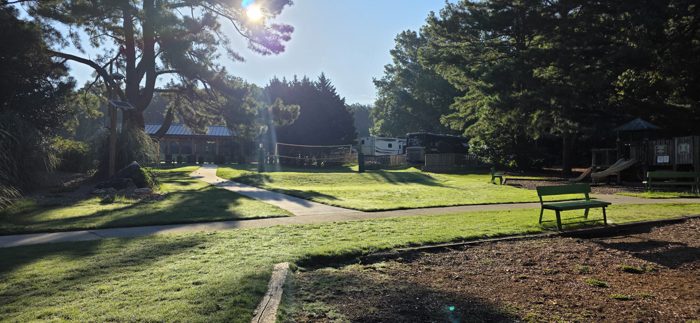 Sunlight streams through the pines over the quiet campground green, playground and rigs still asleep in the early light.