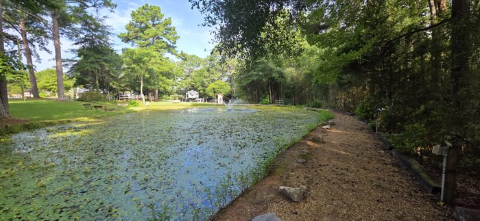 A gravel path winds along the lily pads toward the campground's shaded bamboo edge.