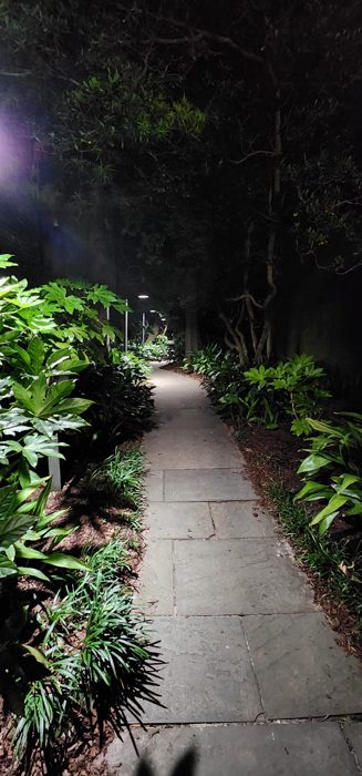 The lush lantern-lit path winding through the Unitarian Church graveyard.
