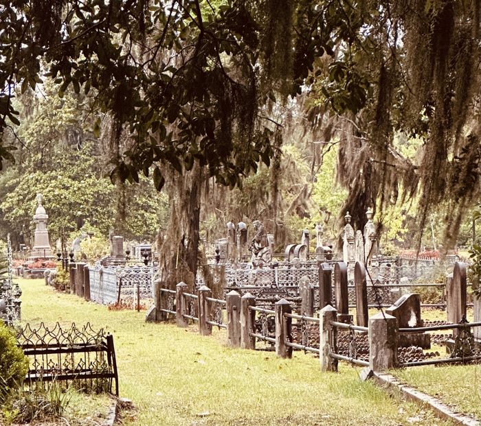 Moss-draped oaks arch over a field of weathered headstones at Laurel Grove.