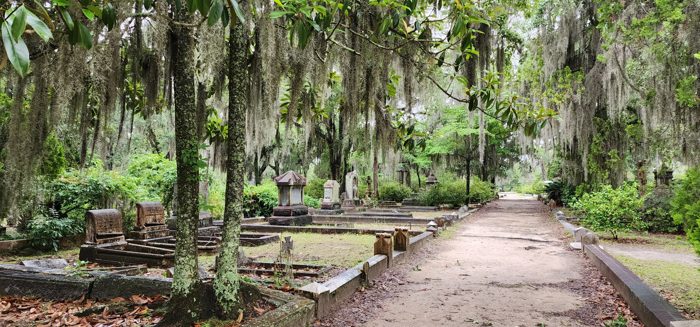 A quiet lane arched over with live oaks and dripping Spanish moss, the signature Bonaventure scene.