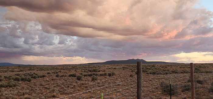 Soft pastel clouds settle over the sage flats as evening cools the desert.