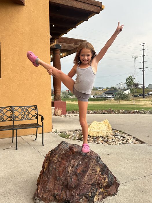 Striking a triumphant dance pose atop a chunk of petrified wood at a roadside rest stop.