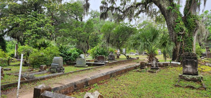 A quiet family plot edged in low stone curbing rests among the headstones and oaks of Bonaventure.