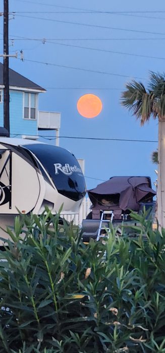 The orange moon rising over the RVs, framed by the tall marsh grass at the edge of the park.