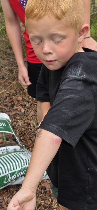 All smiles as the anole finally scurries off and back into the garden.