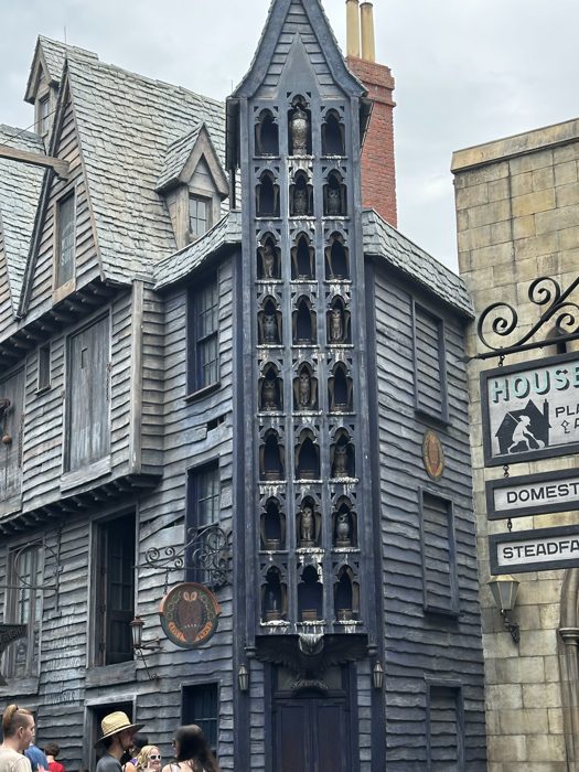 Rows of owls peer out from the Owl Post building in Diagon Alley.