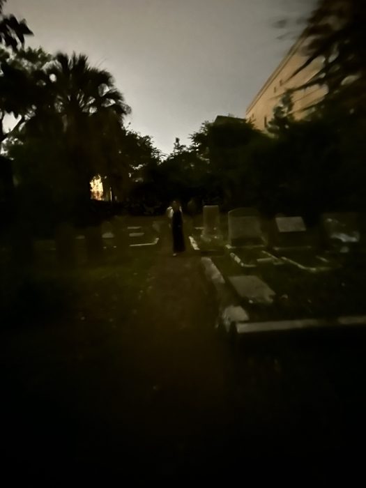 Light streaming through palms and headstones in the atmospheric old graveyard.