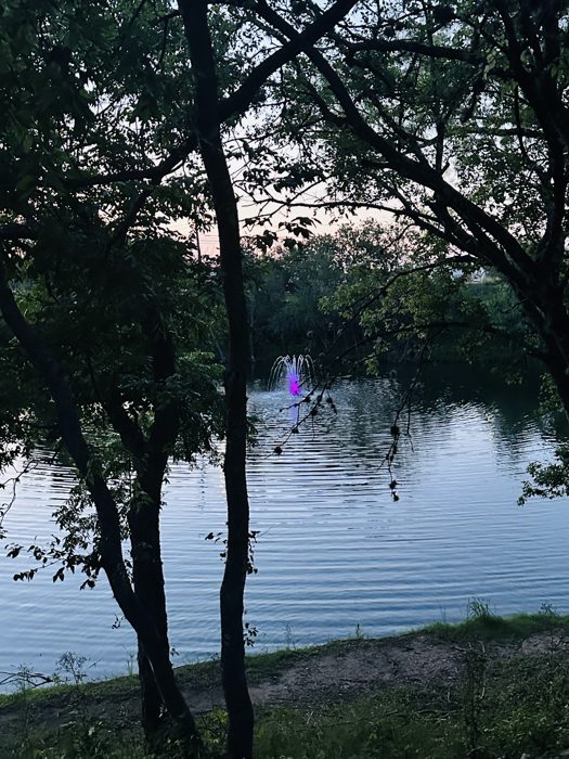 Evening light over a glassy lake framed by overhanging trees.