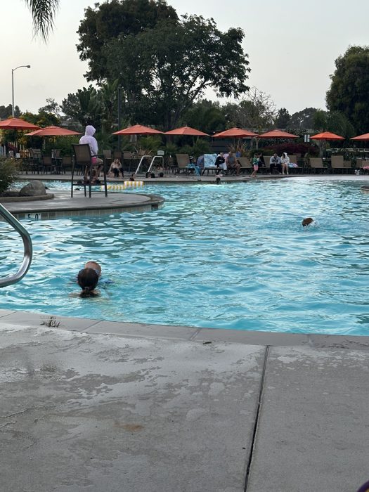 Afternoon swim at the campground pool surrounded by palm trees.