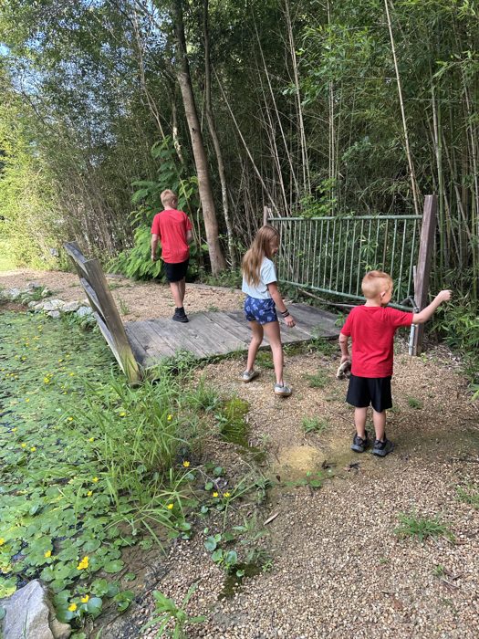 The kids wander a gravel path along the lily-covered pond, checking out the gate at the far end.